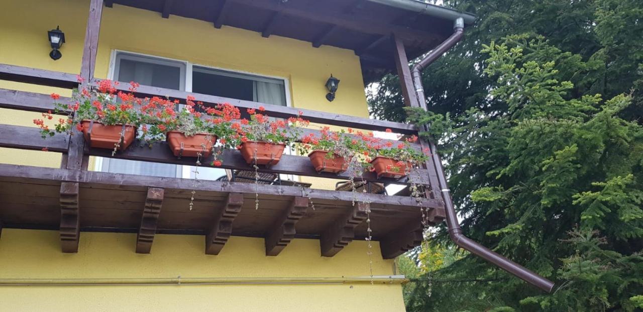 Apartamente Private A&L Sinaia Exterior foto